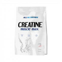 ALL NUTRITION CREATINE MUSCLE MAX 1000 GR