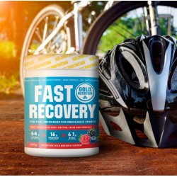 GOLD NUTRITION FAST RECOVERY 600GR