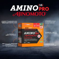 NAMEDSPORT AMINOPRO 16 AJINOMOTO 30 X 240GR
