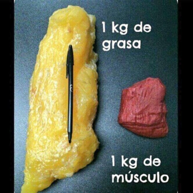 Diferencia entre volumen de grasa y volumen de músculo en 1 kilo de peso