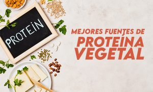 proteína vegetal