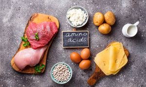 aminoácidos esenciales