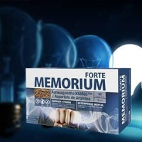 Suplementos para mejorar la memoria  | Vivaelmusculo