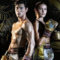 ▷ Equipamiento de Boxeo y Kick Boxing | Vivaelmusculo