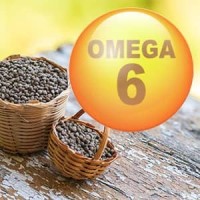 ▷ Compra las mejores cápsulas de Ácidos Grasos Omega 6 con vitaminas